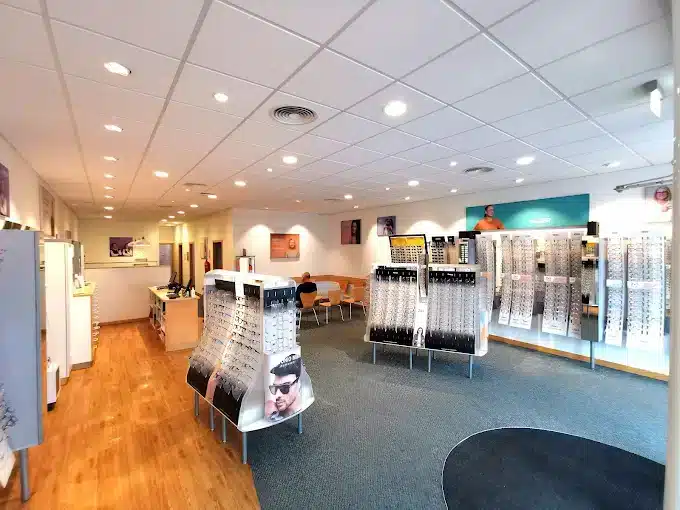 intervision expert Torrevieja